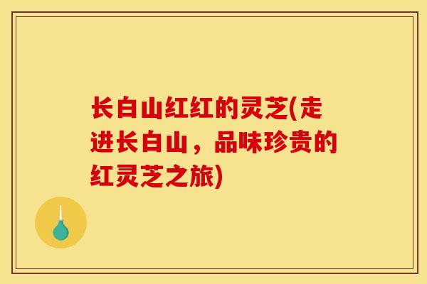 长白山红红的灵芝(走进长白山,品味珍贵的红灵芝之旅) 长白山红红的灵芝(走进长白山,品味珍贵的红灵芝之旅)