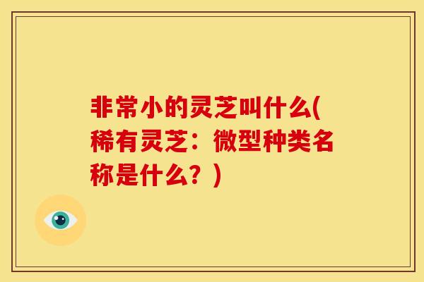 非常小的灵芝叫什么(稀有灵芝:微型种类名称是什么?) 非常小的灵芝叫什么(稀有灵芝:微型种类名称是什么?)