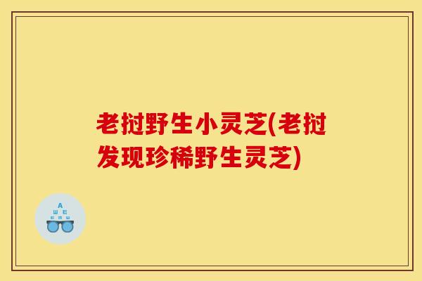 老挝野生小灵芝(老挝发现珍稀野生灵芝) 老挝野生小灵芝(老挝发现珍稀野生灵芝)