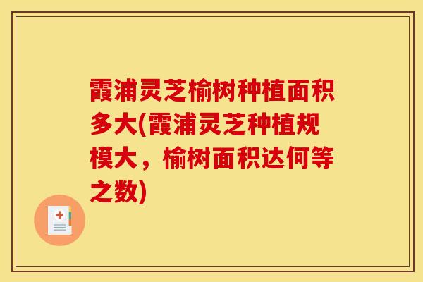 霞浦灵芝榆树种植面积多大(霞浦灵芝种植规模大,榆树面积达何等之数) 霞浦灵芝榆树种植面积多大(霞浦灵芝种植规模大,榆树面积达何等之数)