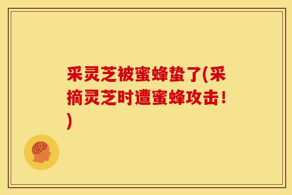 采灵芝被蜜蜂蛰了(采摘灵芝时遭蜜蜂攻击!) 采灵芝被蜜蜂蛰了(采摘灵芝时遭蜜蜂攻击!)