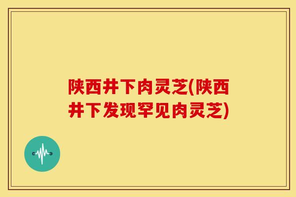 陕西井下肉灵芝(陕西井下发现罕见肉灵芝) 陕西井下肉灵芝(陕西井下发现罕见肉灵芝)