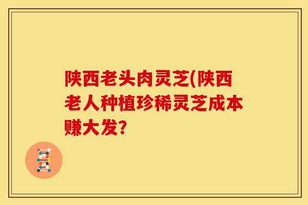 陕西老头肉灵芝(陕西老人种植珍稀灵芝成本赚大发? 陕西老头肉灵芝(陕西老人种植珍稀灵芝成本赚大发?