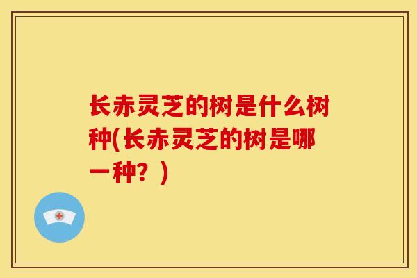长赤灵芝的树是什么树种(长赤灵芝的树是哪一种?) 长赤灵芝的树是什么树种(长赤灵芝的树是哪一种?)