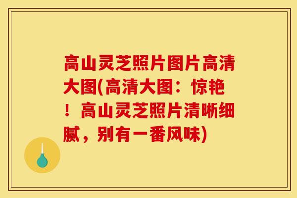 高山灵芝照片图片高清大图(高清大图:惊艳!高山灵芝照片清晰细腻,别有一番风味) 高山灵芝照片图片高清大图(高清大图:惊艳!高山灵芝照片清晰细腻,别有一番风味)