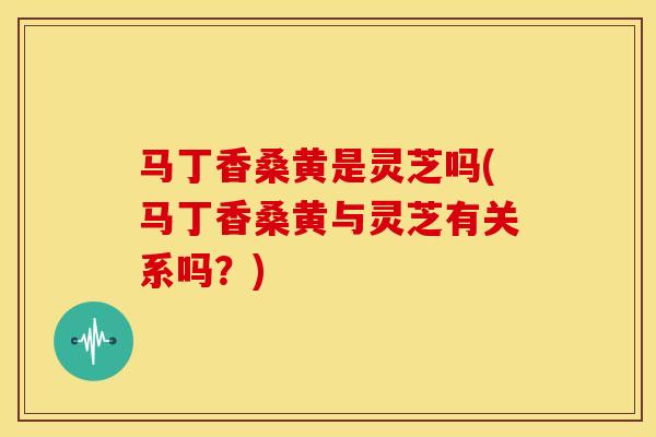 马丁香桑黄是灵芝吗(马丁香桑黄与灵芝有关系吗?) 马丁香桑黄是灵芝吗(马丁香桑黄与灵芝有关系吗?)