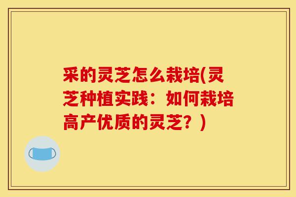 采的灵芝怎么栽培(灵芝种植实践：如何栽培高产优质的灵芝？)