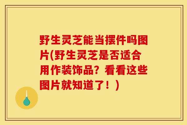 野生灵芝能当摆件吗图片(野生灵芝是否适合用作装饰品?看看这些图片就知道了!) 野生灵芝能当摆件吗图片(野生灵芝是否适合用作装饰品?看看这些图片就知道了!)