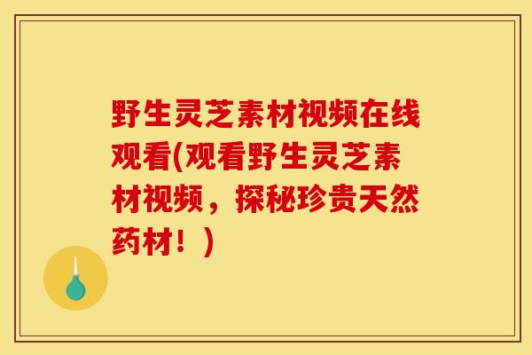 野生灵芝素材视频在线观看(观看野生灵芝素材视频,探秘珍贵天然药材!) 野生灵芝素材视频在线观看(观看野生灵芝素材视频,探秘珍贵天然药材!)
