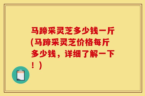 马蹄采灵芝多少钱一斤(马蹄采灵芝价格每斤多少钱，详细了解一下！)