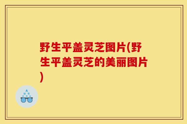 野生平盖灵芝图片(野生平盖灵芝的美丽图片) 野生平盖灵芝图片(野生平盖灵芝的美丽图片)