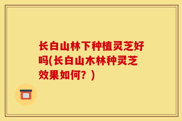 长白山林下种植灵芝好吗(长白山木林种灵芝效果如何?) 长白山林下种植灵芝好吗(长白山木林种灵芝效果如何?)