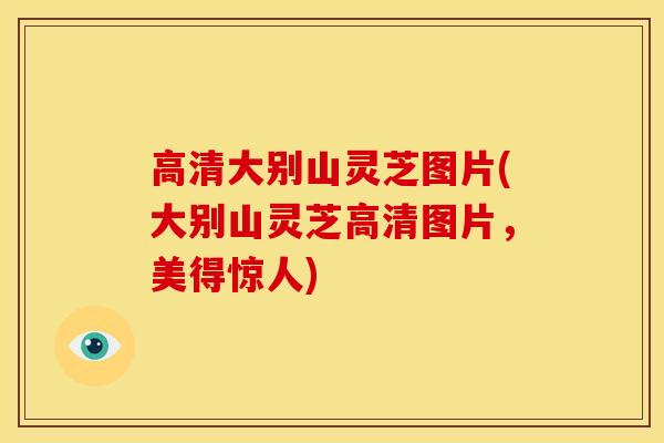 高清大别山灵芝图片(大别山灵芝高清图片,美得惊人) 高清大别山灵芝图片(大别山灵芝高清图片,美得惊人)