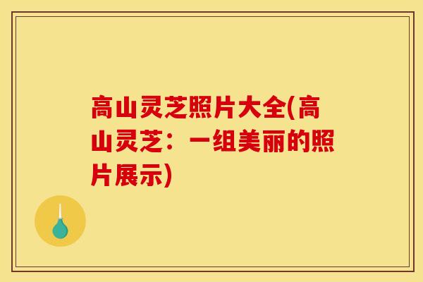 高山灵芝照片大全(高山灵芝:一组美丽的照片展示) 高山灵芝照片大全(高山灵芝:一组美丽的照片展示)