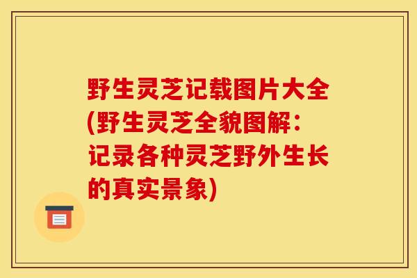 野生灵芝记载图片大全(野生灵芝全貌图解:记录各种灵芝野外生长的真实景象) 野生灵芝记载图片大全(野生灵芝全貌图解:记录各种灵芝野外生长的真实景象)
