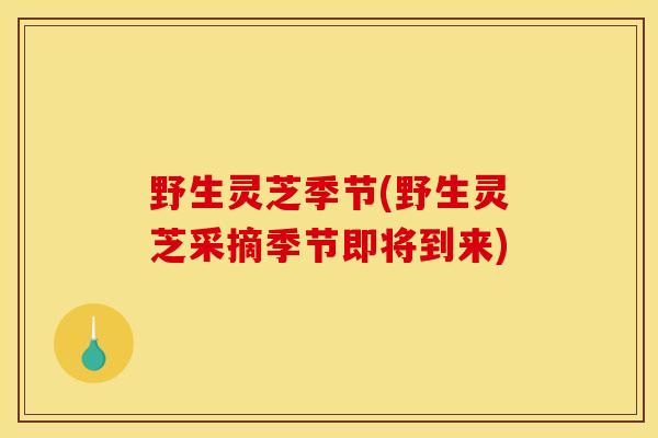 野生灵芝季节(野生灵芝采摘季节即将到来) 野生灵芝季节(野生灵芝采摘季节即将到来)