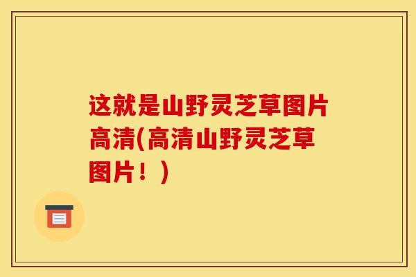 这就是山野灵芝草图片高清(高清山野灵芝草图片！)