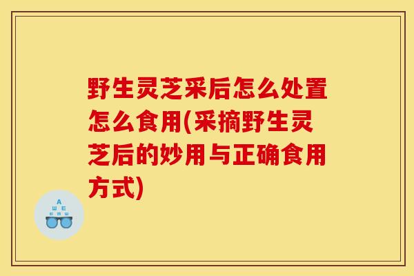 野生灵芝采后怎么处置怎么食用(采摘野生灵芝后的妙用与正确食用方式) 野生灵芝采后怎么处置怎么食用(采摘野生灵芝后的妙用与正确食用方式)
