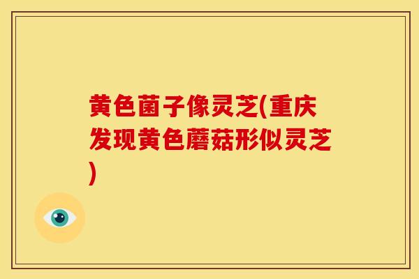 黄色菌子像灵芝(重庆发现黄色蘑菇形似灵芝) 黄色菌子像灵芝(重庆发现黄色蘑菇形似灵芝)