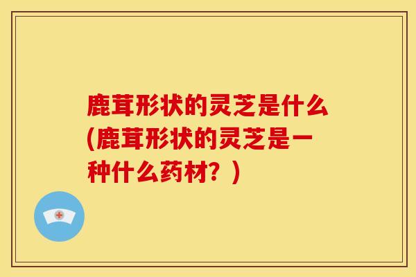 鹿茸形状的灵芝是什么(鹿茸形状的灵芝是一种什么药材?) 鹿茸形状的灵芝是什么(鹿茸形状的灵芝是一种什么药材?)