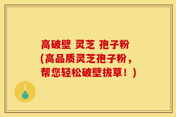 高破壁 灵芝 孢子粉(高品质灵芝孢子粉,帮您轻松破壁拔草!) 高破壁 灵芝 孢子粉(高品质灵芝孢子粉,帮您轻松破壁拔草!)