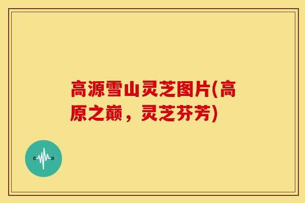 高源雪山灵芝图片(高原之巅,灵芝芬芳) 高源雪山灵芝图片(高原之巅,灵芝芬芳)