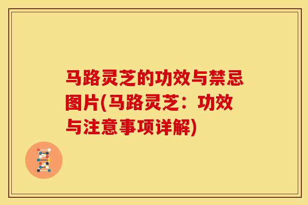 马路灵芝的功效与禁忌图片(马路灵芝:功效与注意事项详解) 马路灵芝的功效与禁忌图片(马路灵芝:功效与注意事项详解)