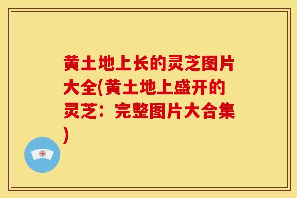黄土地上长的灵芝图片大全(黄土地上盛开的灵芝:完整图片大合集) 黄土地上长的灵芝图片大全(黄土地上盛开的灵芝:完整图片大合集)