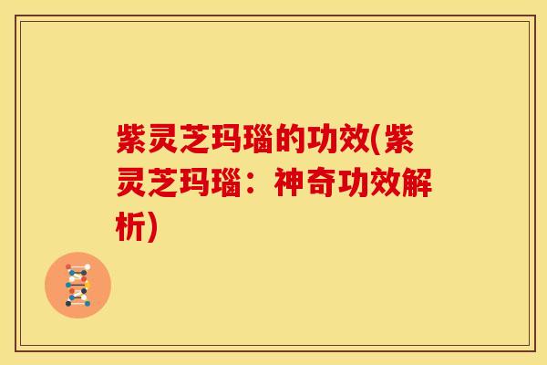 紫灵芝玛瑙的功效(紫灵芝玛瑙:神奇功效解析) 紫灵芝玛瑙的功效(紫灵芝玛瑙:神奇功效解析)