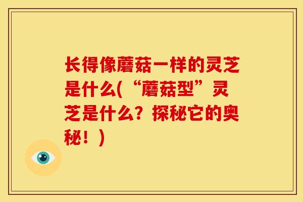 长得像蘑菇一样的灵芝是什么(“蘑菇型”灵芝是什么?探秘它的奥秘!) 长得像蘑菇一样的灵芝是什么(“蘑菇型”灵芝是什么?探秘它的奥秘!)
