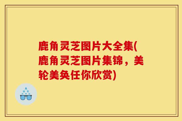 鹿角灵芝图片大全集(鹿角灵芝图片集锦,美轮美奂任你欣赏) 鹿角灵芝图片大全集(鹿角灵芝图片集锦,美轮美奂任你欣赏)