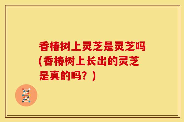 香椿树上灵芝是灵芝吗(香椿树上长出的灵芝是真的吗?) 香椿树上灵芝是灵芝吗(香椿树上长出的灵芝是真的吗?)