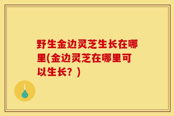 野生金边灵芝生长在哪里(金边灵芝在哪里可以生长?) 野生金边灵芝生长在哪里(金边灵芝在哪里可以生长?)