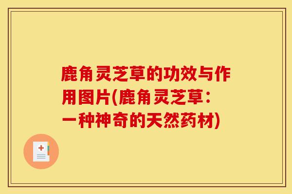 鹿角灵芝草的功效与作用图片(鹿角灵芝草：一种神奇的天然药材)