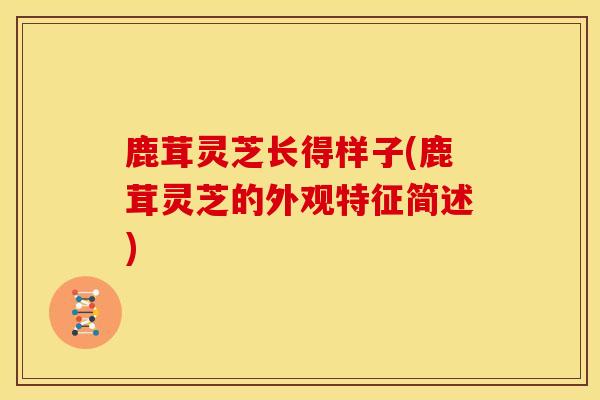 鹿茸灵芝长得样子(鹿茸灵芝的外观特征简述) 鹿茸灵芝长得样子(鹿茸灵芝的外观特征简述)