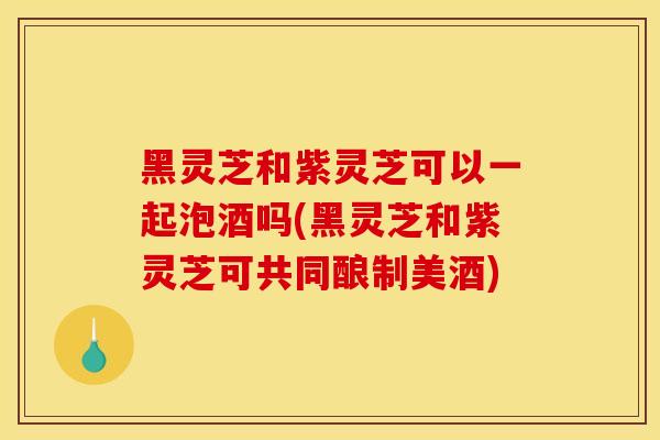 黑灵芝和紫灵芝可以一起泡酒吗(黑灵芝和紫灵芝可共同酿制美酒) 黑灵芝和紫灵芝可以一起泡酒吗(黑灵芝和紫灵芝可共同酿制美酒)