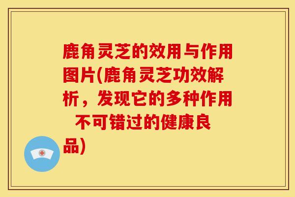 鹿角灵芝的效用与作用图片(鹿角灵芝功效解析,发现它的多种作用 不可错过的健康良品) 鹿角灵芝的效用与作用图片(鹿角灵芝功效解析,发现它的多种作用 不可错过的健康良品)