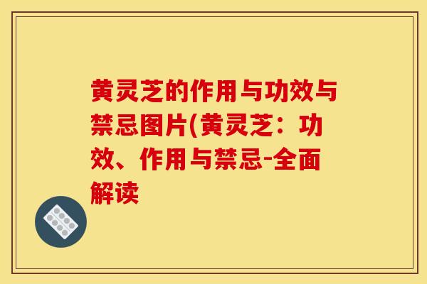 黄灵芝的作用与功效与禁忌图片(黄灵芝:功效、作用与禁忌-全面解读 黄灵芝的作用与功效与禁忌图片(黄灵芝:功效、作用与禁忌-全面解读