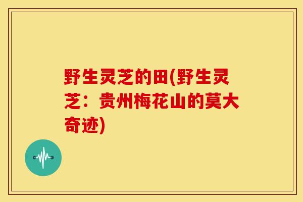 野生灵芝的田(野生灵芝：贵州梅花山的莫大奇迹)