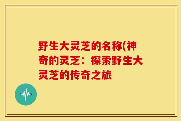 野生大灵芝的名称(神奇的灵芝:探索野生大灵芝的传奇之旅 野生大灵芝的名称(神奇的灵芝:探索野生大灵芝的传奇之旅