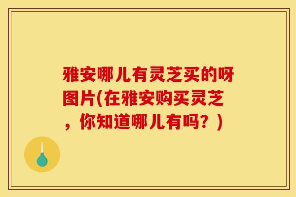 雅安哪儿有灵芝买的呀图片(在雅安购买灵芝,你知道哪儿有吗?) 雅安哪儿有灵芝买的呀图片(在雅安购买灵芝,你知道哪儿有吗?)