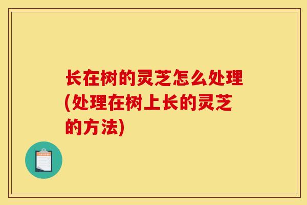 长在树的灵芝怎么处理(处理在树上长的灵芝的方法)