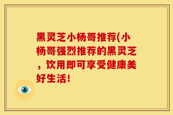 黑灵芝小杨哥推荐(小杨哥强烈推荐的黑灵芝,饮用即可享受健康美好生活! 黑灵芝小杨哥推荐(小杨哥强烈推荐的黑灵芝,饮用即可享受健康美好生活!