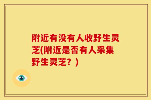 附近有没有人收野生灵芝(附近是否有人采集野生灵芝？)