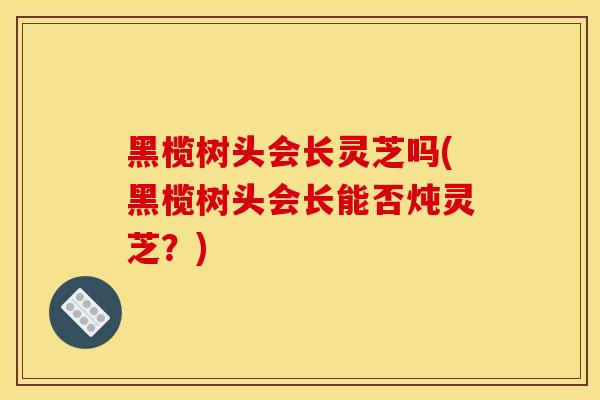 黑榄树头会长灵芝吗(黑榄树头会长能否炖灵芝?) 黑榄树头会长灵芝吗(黑榄树头会长能否炖灵芝?)