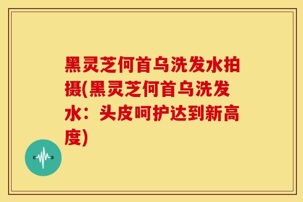 黑灵芝何首乌洗发水拍摄(黑灵芝何首乌洗发水：头皮呵护达到新高度)