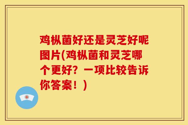 鸡枞菌好还是灵芝好呢图片(鸡枞菌和灵芝哪个更好？一项比较告诉你答案！)