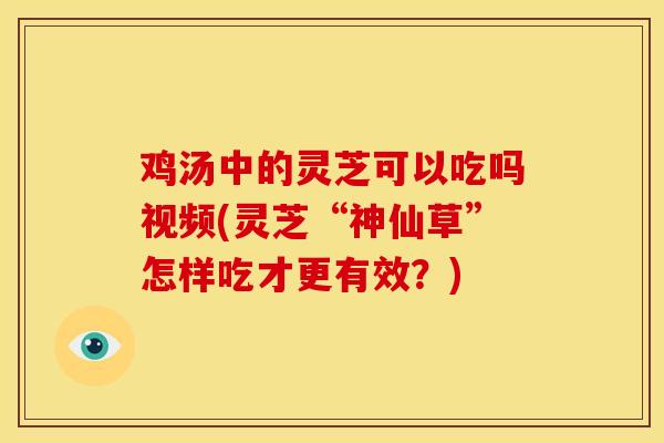 鸡汤中的灵芝可以吃吗视频(灵芝“神仙草”怎样吃才更有效?) 鸡汤中的灵芝可以吃吗视频(灵芝“神仙草”怎样吃才更有效?)