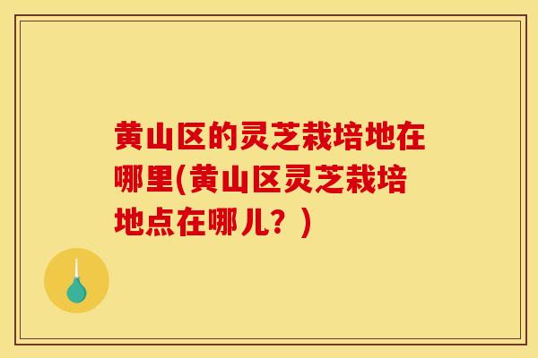 黄山区的灵芝栽培地在哪里(黄山区灵芝栽培地点在哪儿?) 黄山区的灵芝栽培地在哪里(黄山区灵芝栽培地点在哪儿?)