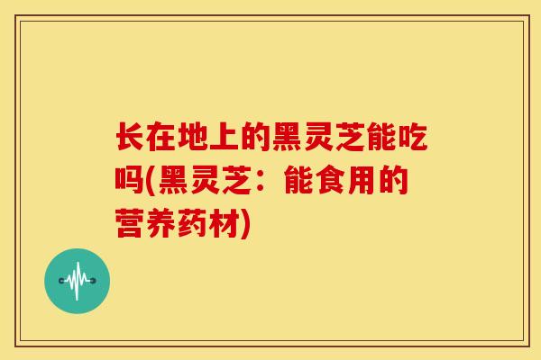 长在地上的黑灵芝能吃吗(黑灵芝：能食用的营养药材)